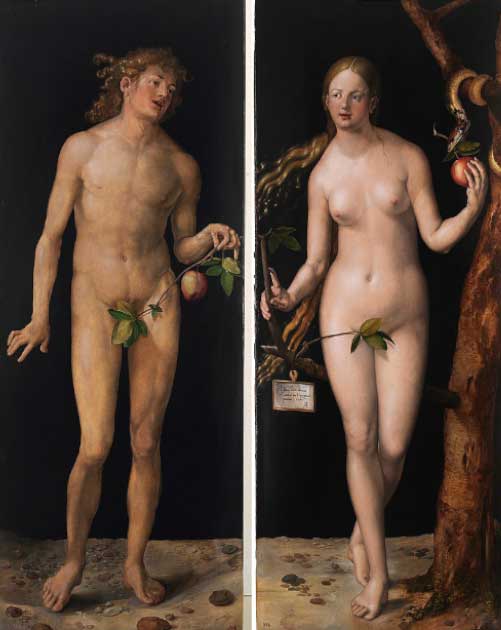 Adam und Eva von Albrecht Dürer, gemalt 1507 n. Chr., zeigt deutlich die verbotene Frucht, die beide Tafeln mit der fast vergessenen Schlange in der oberen rechten Ecke verbindet.