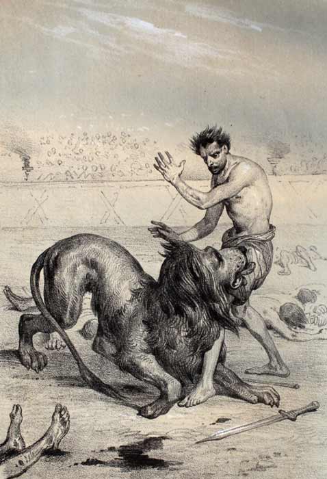 Androklus und der Löwe.