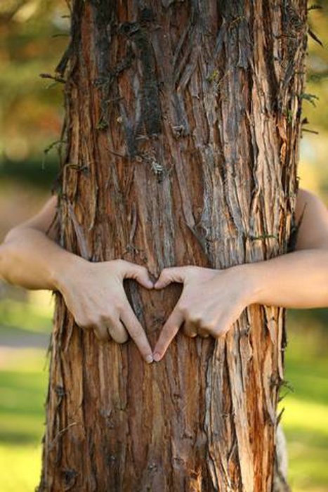 Ein Baumumarmer des 21. Jahrhunderts in Austin, Texas. Der Begriff „Tree Hugging“ bedeutet mehr als nur das Umarmen von Bäumen. Er bedeutet auch, Bäume für das zu schätzen, was sie der menschlichen Gesellschaft geben.