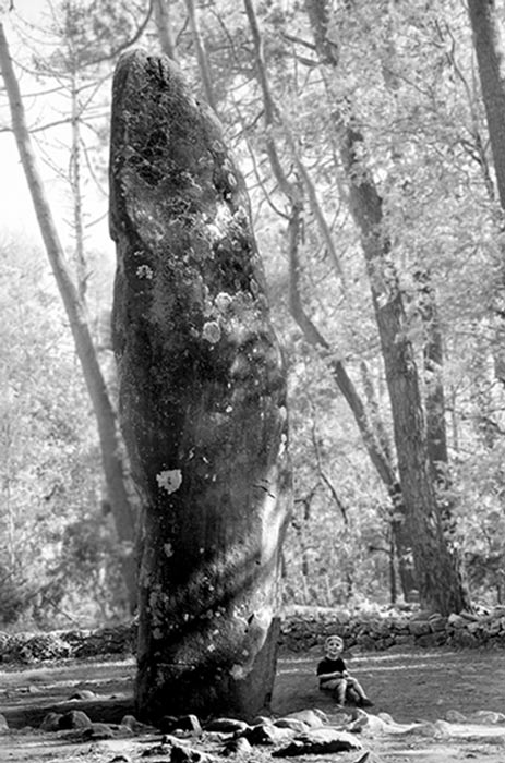 Bildunterschrift Menhir von Carnac: Einer der 80.000 Menhire in der Region Carnac, Foto von Freddy Silva