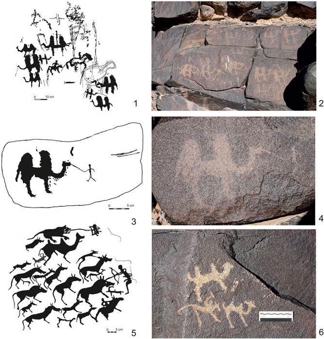 Kamel-Petroglyphen aus der Bronzezeit in der mongolischen Wüste Gobi, wo auch Hinweise auf das Riesenkamel gefunden wurden.