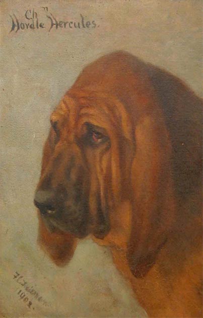 Donnchadh ist ein berühmter Hund geworden, weil er seinem Besitzer Robert the Bruce um 1300 das Leben rettete.