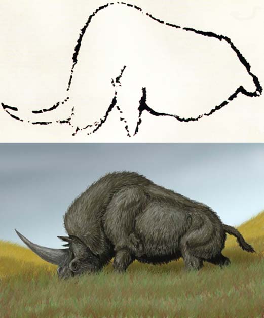 Oben: Höhlenmalerei aus Rouffignac, Frankreich, soll das ausgestorbene Elasmotherium darstellen. ( Public Domain ) Unten: Elasmotherium sibiricum. (DiBgd/CC BY SA 3.0 )