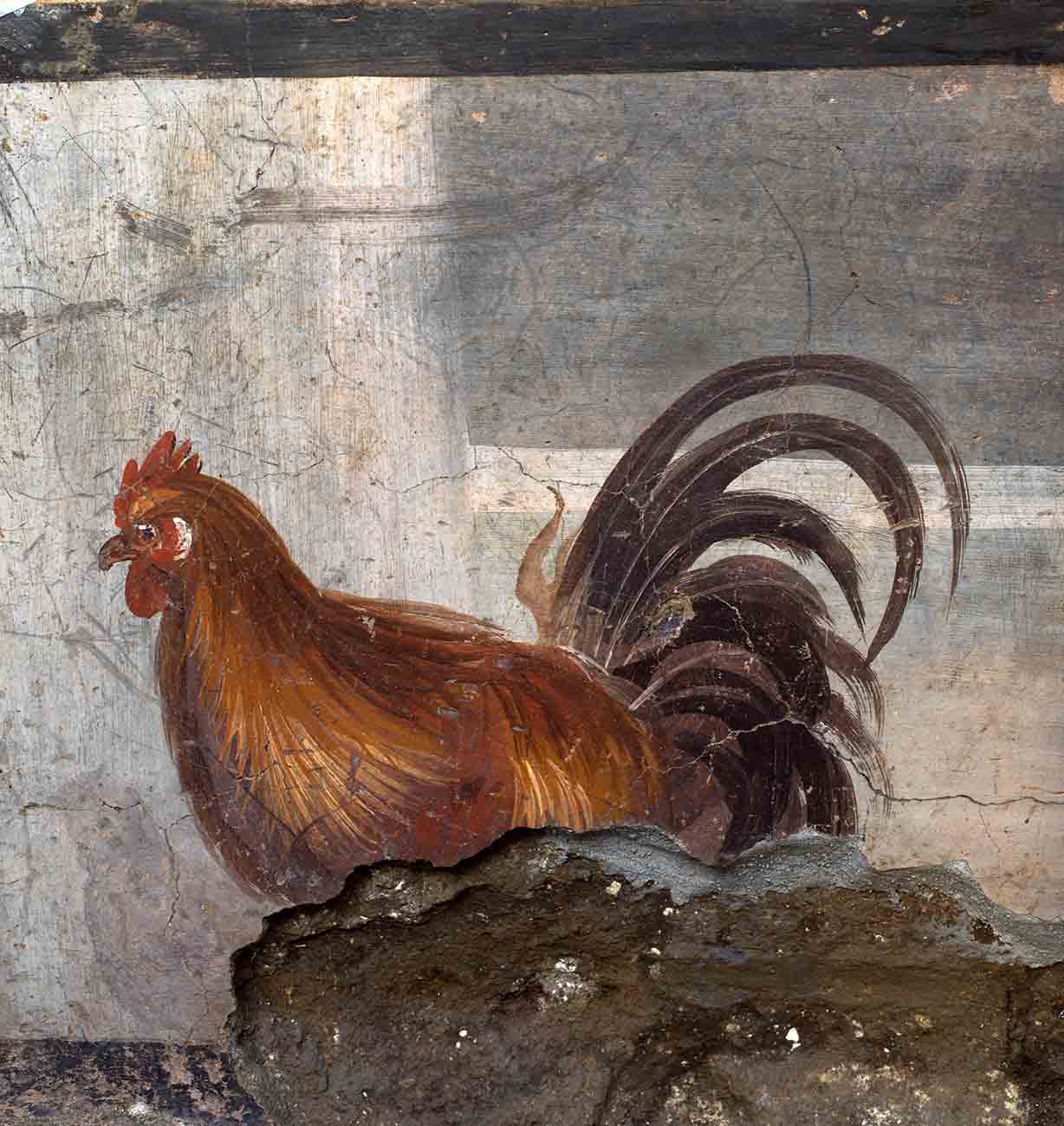 Ein sehr realistisches Gemälde eines Hahns schmückt den bald wiedereröffneten Imbissstand von Pompeji im Bereich der Ausgrabungsstätte Regio V.
