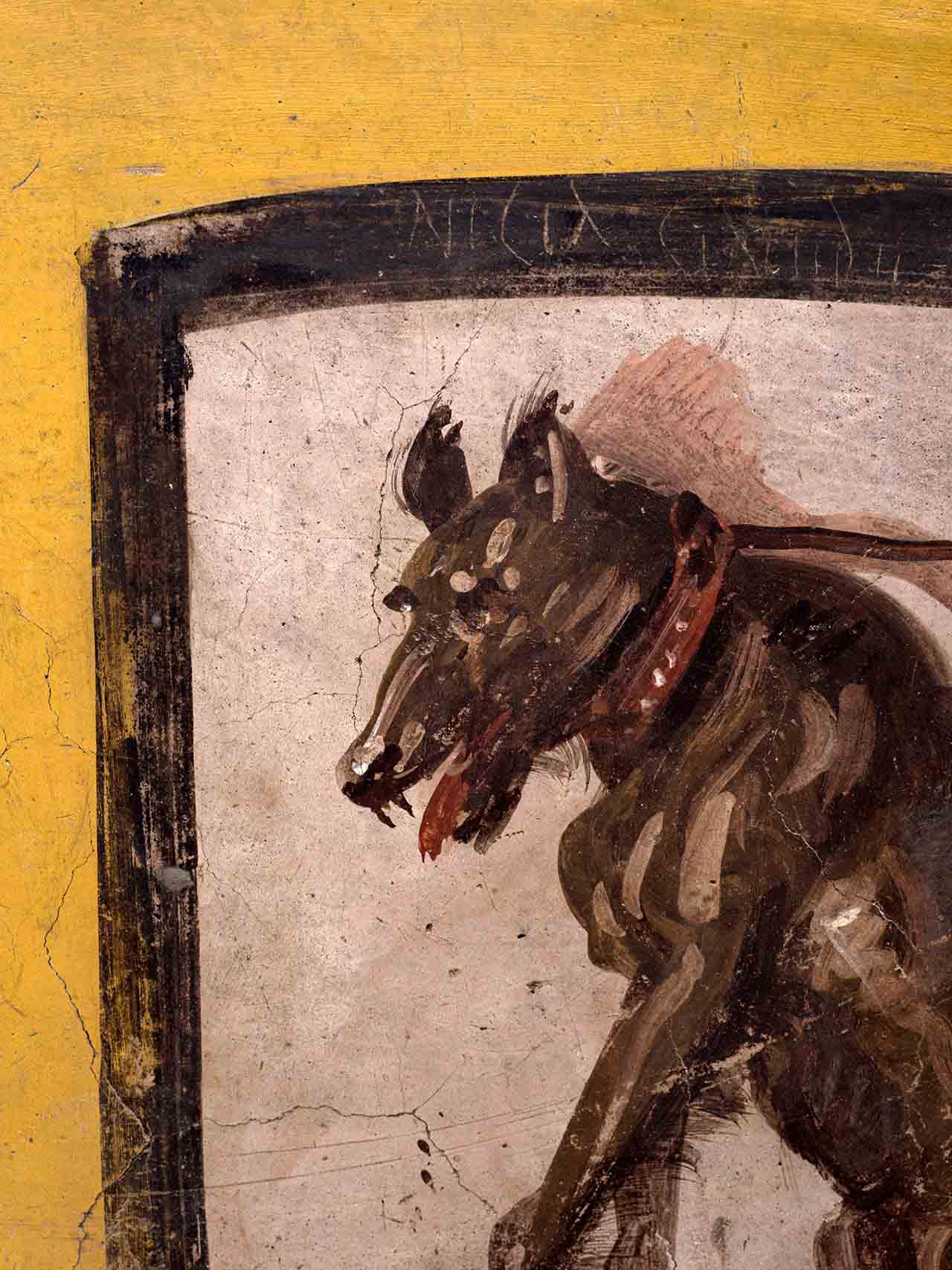 Das Bild eines Hundes mit einem homophoben Graffiti in weißer Schrift am oberen Rand des bald wiedereröffneten Imbissstandes in Pompeji.