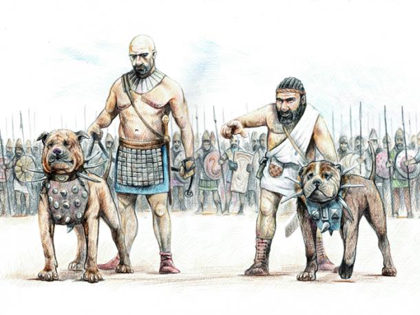 Kriegshunde im alten Assyrien