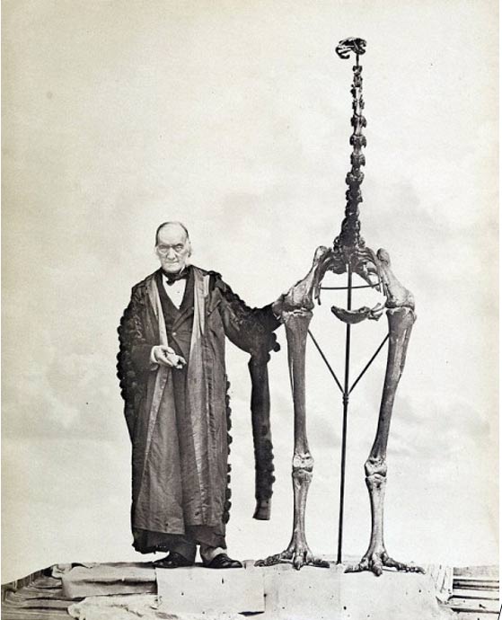 Sir Richard Owen steht neben einem Moaskelett und hält das erste jemals gefundene Knochenfragment eines Moas