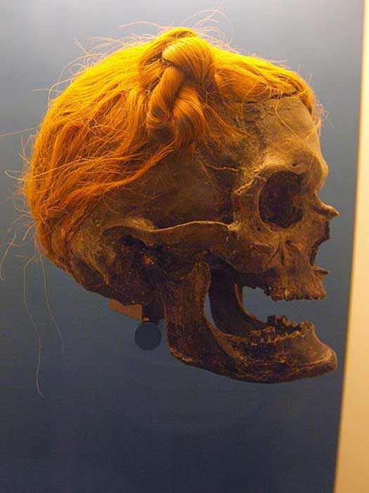 Osterby Mann mit Haaren in einem Suebenknoten gebunden. Im Archäologischen Landesmuseum