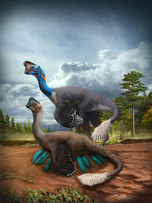 Ein aufmerksamer oviraptorider Theropode brütet sein Nest mit blaugrünen Eiern aus, während sein Partner vor etwa 70 Millionen Jahren in der heutigen Provinz Jiangxi in Südchina zusieht.
