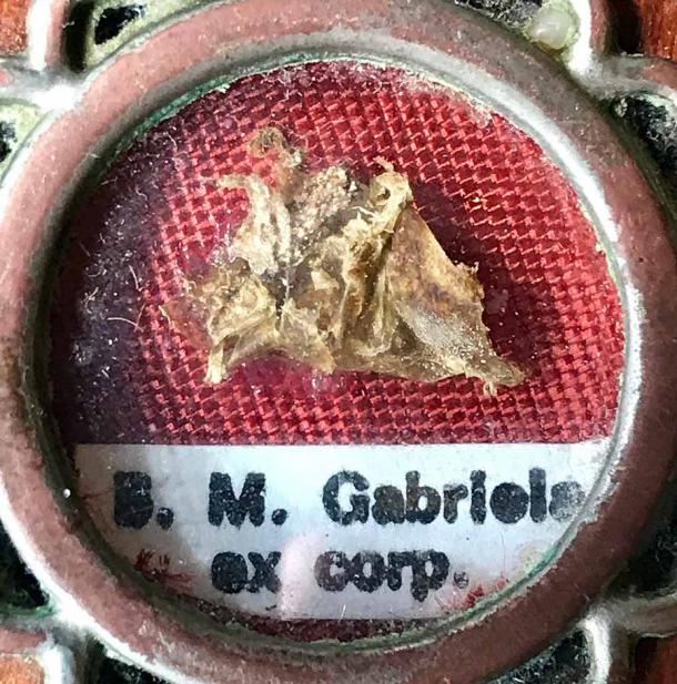 Die Reliquie erster Klasse der seligen Maria Gabriella OCSO, geboren als Maria Sagheddu (17. März 1914 - 23. April 1939). Sie war eine italienische römisch-katholische Nonne und Professen der Trappisten. Sie wurde 1983 in Rom seliggesprochen, eine Anerkennung der katholischen Kirche, dass eine verstorbene Person in den Himmel aufgenommen wurde und die Fähigkeit hat, für die Menschen, die in ihrem Namen beten, Fürsprache zu halten 