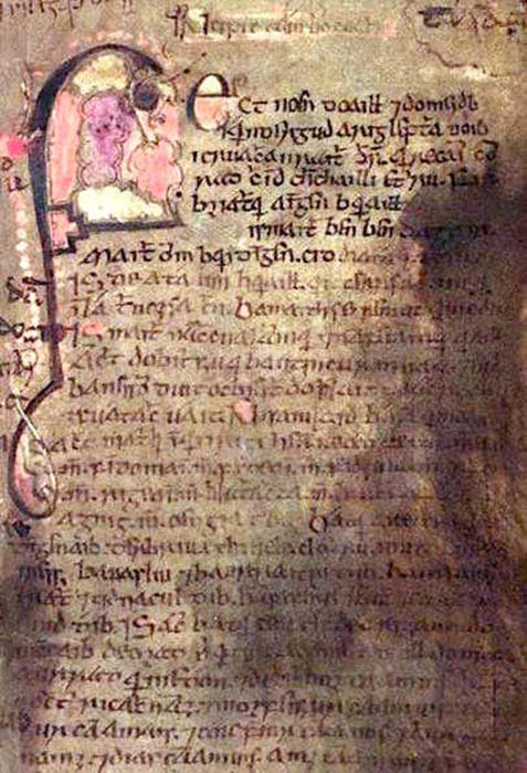 Seite aus dem Buch von Leinster, einer mittelalterlichen Handschrift aus dem 12. Jahrhundert.