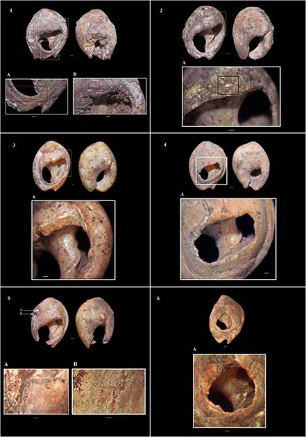 Abb. 6 aus der Studie zeigt Fotografien von Perlen aus aterischen Meeresschneckenhäusern aus der Schicht 4c der marokkanischen Höhlengrabungsstätte. Diese Perlen gelten heute als die ältesten Schmuckstücke der Welt. 