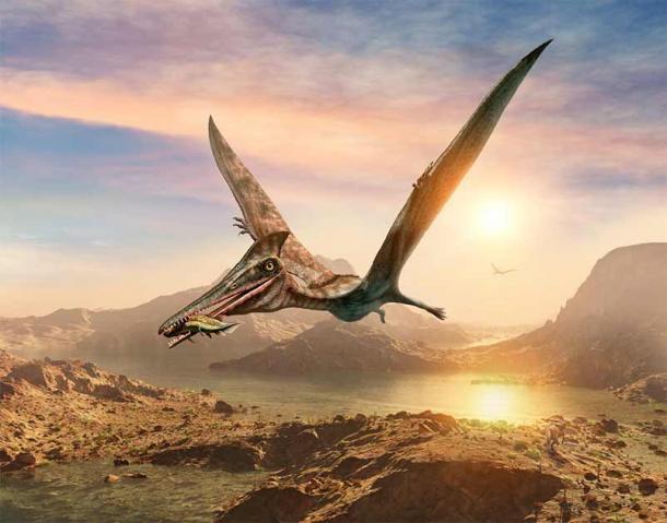 Eine 3D-Illustration eines Flugsauriers, der einen großen Fisch im Maul trägt