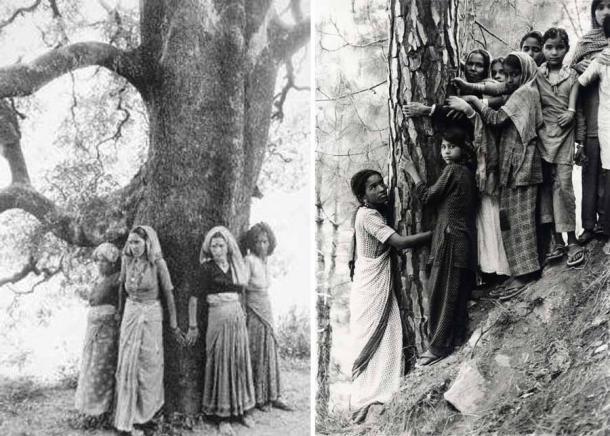 Amrita Devi und ihre drei Töchter warfen sich vor die Bäume, um sie zu umarmen, und fanden im Massaker von Khejarli 1730 ein tragisches Ende