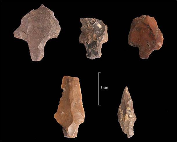 Abb. 3 aus der Studie zeigt fünf Artefakte der Aterienkultur aus der Schicht 4c der Bizmoune-Höhle