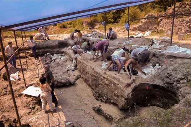 Die Ausgrabungsstätte von Dmanisi hat aufgrund der zahlreichen Funde, die seit 1983 gemacht wurden, viel Aufmerksamkeit erregt, darunter auch die jüngsten Überreste von Jagdhunden.