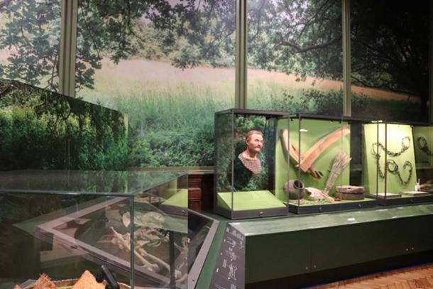 Ausstellung in der neuen Archaeology Gallery, Brighton.