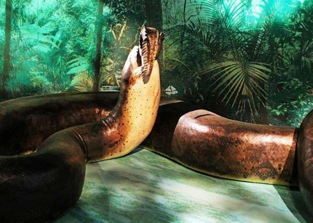 Die „Titanoboa: Monster Snake“-Ausstellung aus dem Smithsonian im Natural History Museum