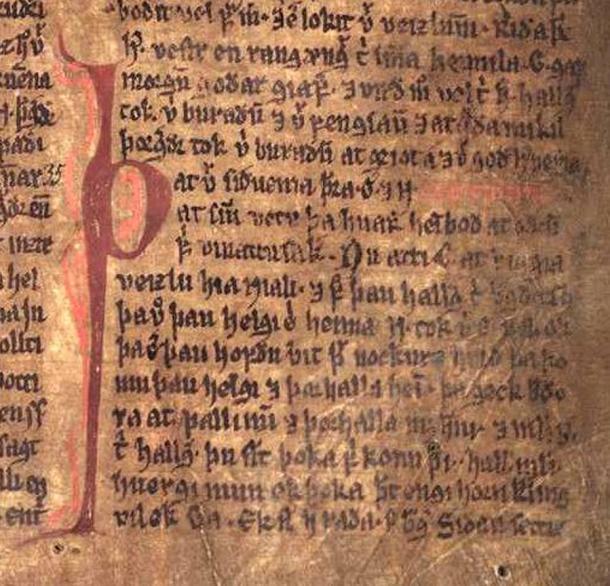 Auszug aus der Njáls saga im Möðruvallabók
