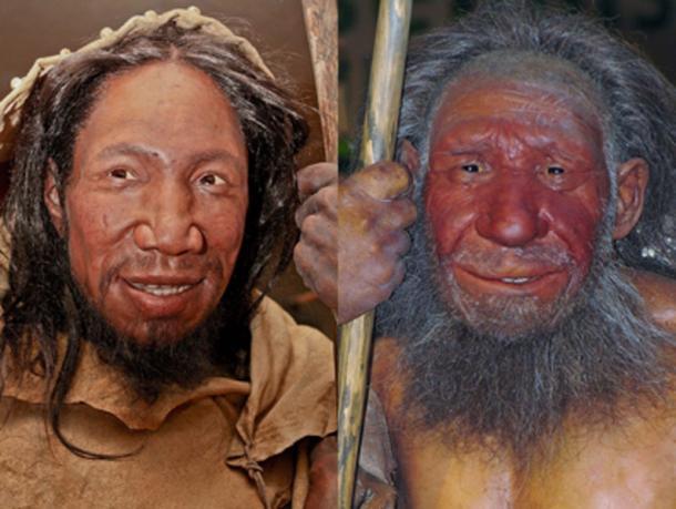 Die Begegnungen zwischen Neandertalern und Sapiens waren nicht feindselig.