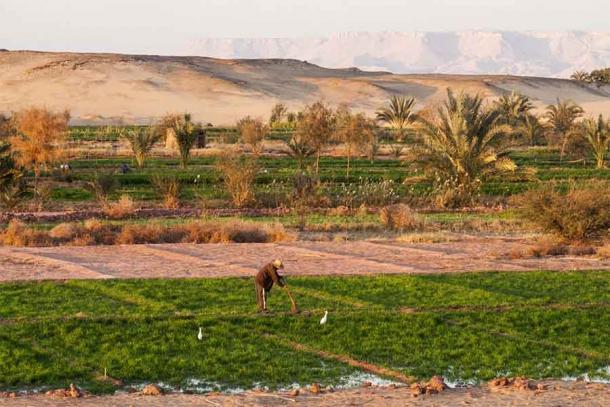 Das alte Ägypten war in hohem Maße auf Bewässerung angewiesen, um in der Wüste zu überleben