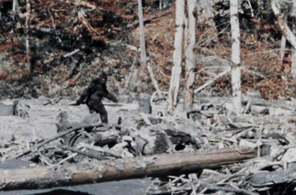 Bigfoot im Patterson-Gimlin Film.