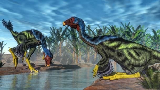 Chinesischen Wissenschaftlern ist es gelungen, Knorpelzellen aus den versteinerten Überresten eines kleinen Caudipteryx-Dinosauriers zu gewinnen. Dies könnte es ihnen ermöglichen, Dinosaurier-DNA zu gewinnen und zu sequenzieren.
