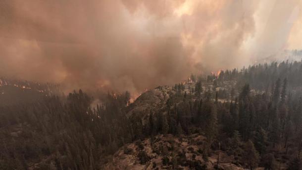 Nach Angaben der Feuerwehr wird erwartet, dass das so genannte Colony Fire in den nächsten Tagen den Mammutbaumhain im Giant Forest erreichen wird. 