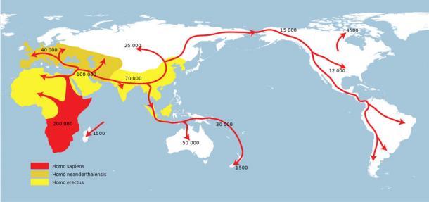 Darwins „Out of Africa“-Theorie, wie sie in dieser Karte dargestellt ist, wurde auch durch die jüngste „größte“ Stammbaumstudie weitgehend bestätigt. Rot steht für Homo sapiens, helles Gelb für Neandertaler und dunkleres Gelb für Homo erectus.