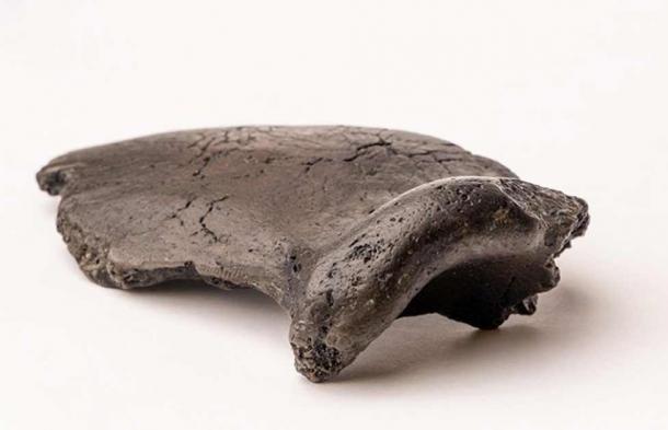 Der fossile Augenbrauenbogen des Neandertalers Krijn 