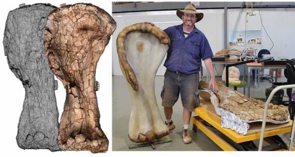 Von ausgegrabenen zu digitalen Dinosauriern: Die 3D-Scantechnologie bot Forschern eine noch nie dagewesene Möglichkeit, versteinerte Knochen riesiger Dinosaurier zu vergleichen und diese digitalen Nachbildungen virtuell zu betrachten.