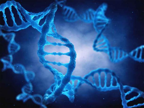 Das DNA-Doppelhelix-Molekül ist der genetische Bauplan für das Leben. Die jüngste Studie über die frühe Coronavirus-Pandemie in Ostasien stützte sich auf DNA- und Gen-Nachweise.