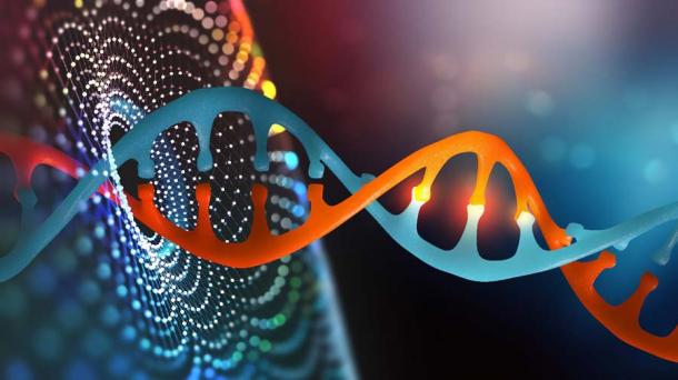 Ein Bild der DNA-Helix, das die Möglichkeiten von KI oder Deep-Learning-Methoden andeutet, um mehr über die Evolution des menschlichen Genoms zu erfahren
