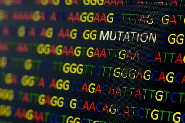 DNA-Sequenzen in farbigen Buchstaben auf schwarzem Hintergrund, die das Wort „Mutation“ enthalten. Basierend auf der jüngsten KI-Studie des menschlichen Genoms an der Universität Kopenhagen konzentrieren sich die Forscher nun mehr und mehr auf Mutationen, um die Evolution des modernen menschlichen Genoms zu verstehen.