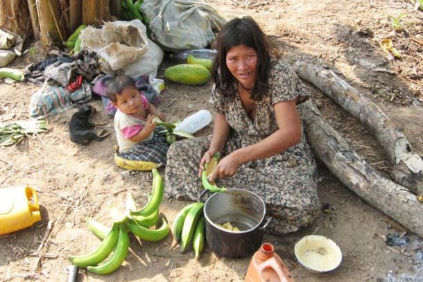 Eine systematische Untersuchung der Ernährungsgewohnheiten der Tsimane ergab, dass verarbeitete Lebensmittel nur einen kleinen Teil ihrer Ernährung ausmachen.