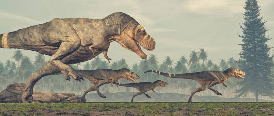 Eine Familie von Tyrannosaurus rex auf der Flucht.