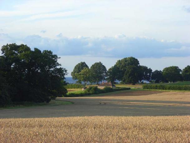 Dieser Teil einer großen Farm in der Region Windsor in Großbritannien gehört ebenso zum Crown Estate wie das Herzogtum Cornwall und das Herzogtum Lancaster. Crown Estate Ackerland in der Nähe von Cranbourn Tower. 