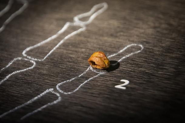 Das fünfte distale Fingerglied des Denisova 3 von einem 13,5 Jahre alten heranwachsenden Denisovan-Weibchen, dem ersten Knochenfossil, das 2008 in der Denisova-Höhle entdeckt wurde.