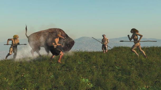 Laut einer bemerkenswerten Forschungsstudie aus dem Jahr 2013 konnten die Neandertaler große Beute mit fortgeschrittenen Speeren erlegen, aber als die großen Tiere verschwunden waren, konnten sie ihre Jagdmethoden nicht an kleinere Tiere anpassen und sind daher ausgestorben.