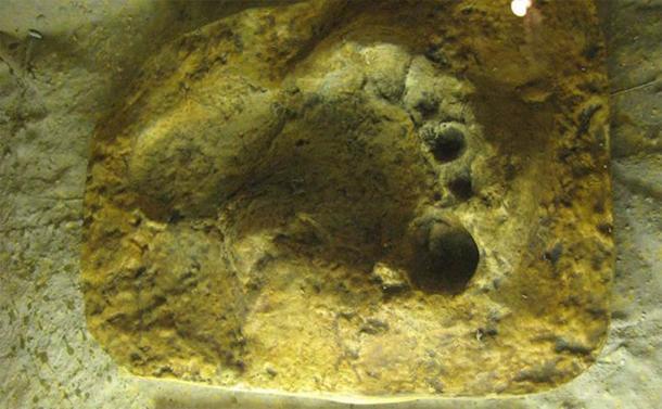 In Gibraltar gefundener Fußabdruck eines Neandertalers. Archäologen sind ständig auf der Suche nach neuen Erkenntnissen über unsere Vettern, die Neandertaler, und wollen verstehen, warum sie ausgestorben sind.