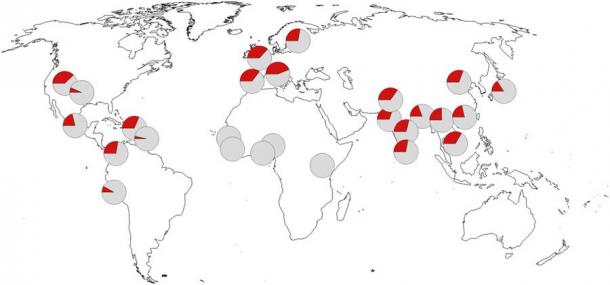 Geografische Verteilung des Neandertaler-COVID-Gens, welches das Risiko der Entwicklung von schweren COVID-19-Symptomen reduzieren kann.
