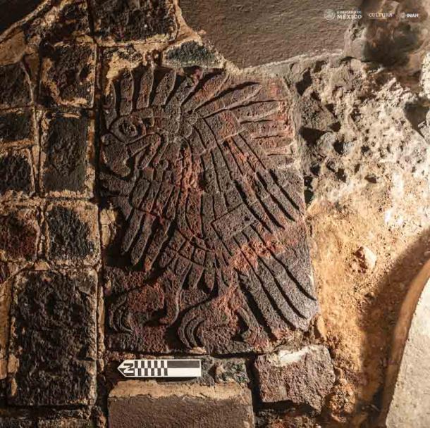Das 1,06 Meter lange und 0,7 Meter breite Goldadler-Flachrelief wurde auf der Südseite des Templo Mayor in Mexico City