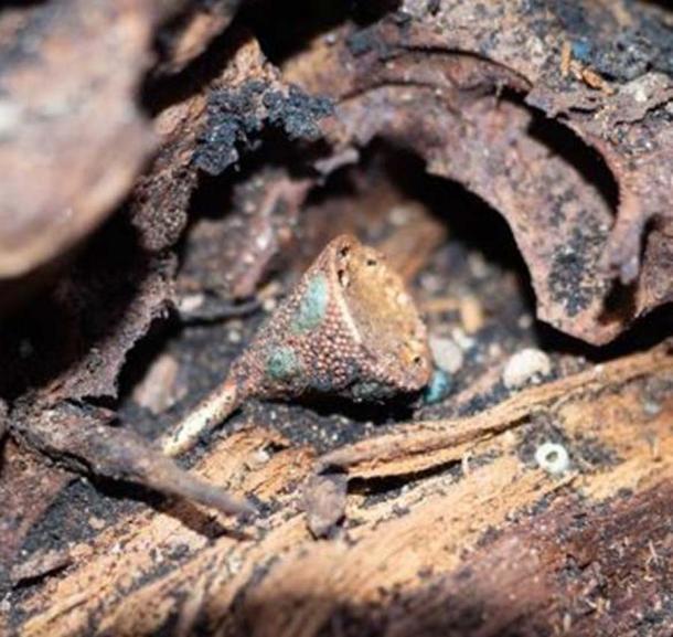 Neben den Überresten der Frau fanden die Forscher einzigartigen Goldschmuck