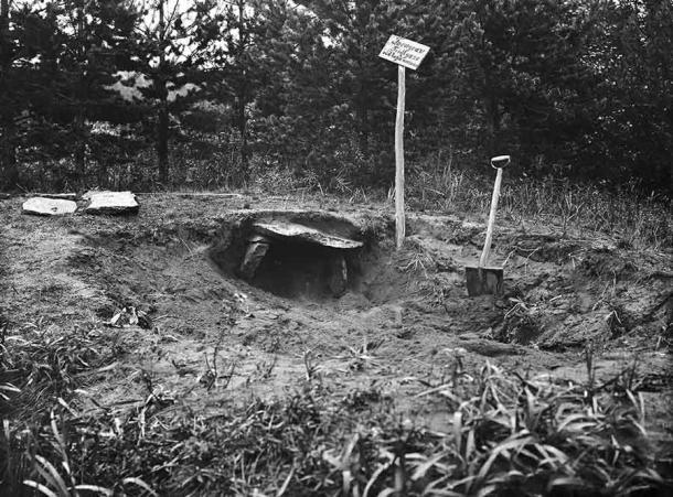 Die 4.000 Jahre alte Steinzeitfrau wurde 1923 in einem steinernen Grab bei Lagmansören, Schweden, entdeckt