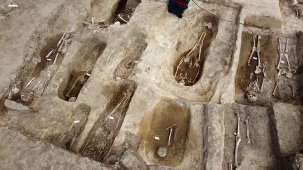 In einem Gräberfeld auf dem Gelände in Eisleben wurden die Skelettreste von etwa 70 Personen gefunden. Außerdem wurden mehrere Grabsteine geborgen, die die Bestattungen auf das 10. bis 15. Jahrhundert datieren. Dieser Friedhof war „die Begräbnisstätte für adelige Familien der Region“.