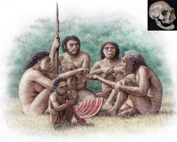 Eine Gruppe von Homo erectus teilt ihre Nahrung mit einem alten und zahnlosen Individuum, das mehrere Jahre ohne Zähne gelebt hat - ein altruistisches Verhalten, das mit den in Dmanisi entdeckten frühen Menschen in Verbindung gebracht wird