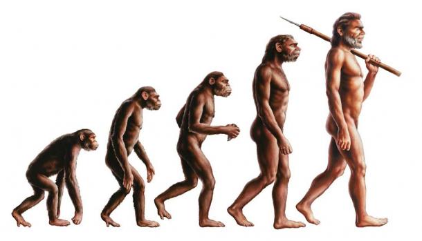 Die Homininen des Pleistozäns entwickelten sich und waren zunehmend durch den Einfluss einzelner Entscheidungsträger und bahnbrechender Individuen gekennzeichnet, und die jüngste Studie geht auch darauf ein