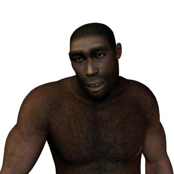 Ein weiterer möglicher Kandidat für die Herstellung dieser Knochenwerkzeuge wäre der Homo erectus.