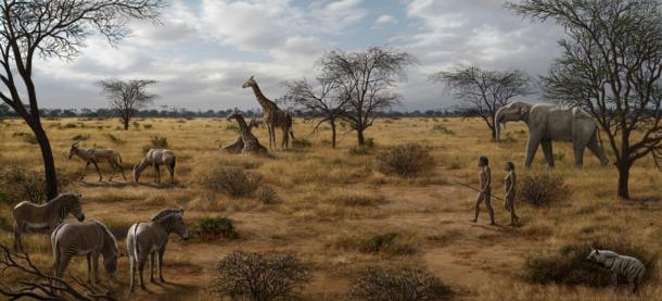 Homo erectus in Ostafrika, umgeben von der zeitgenössischen Fauna, was darauf hindeutet, dass die Fleischnahrung ab einem bestimmten Zeitpunkt alles war. Doch die neueste Studie stellt diese evolutionäre Ernährungshypothese völlig auf den Kopf. (