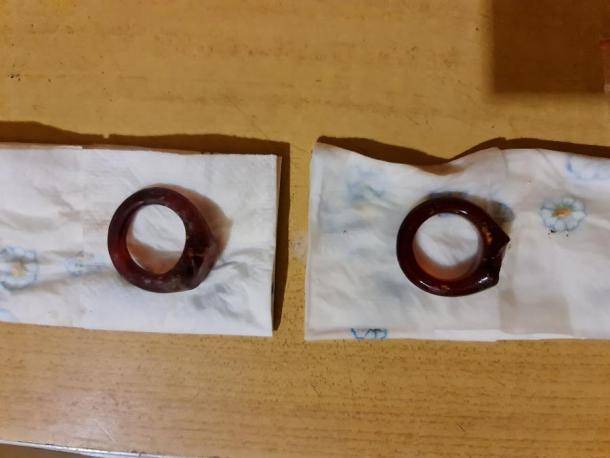 Zwei nahezu identische Ringe waren symmetrisch zur Körperachse angeordnet